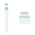 Confezione Multipack 25x Philips MASTER TL-D Secura 58W - 840 Bianco Freddo | 150cm