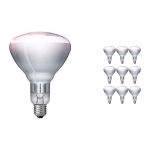 Confezione Multipack 10x Philips  BR125 E27 Riflettore 250W | Infrared 